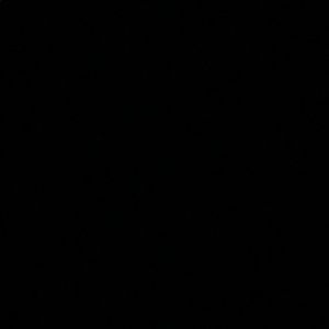 Meet your Posher, Shalina